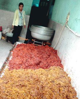 M&ocirc; tả ảnh.