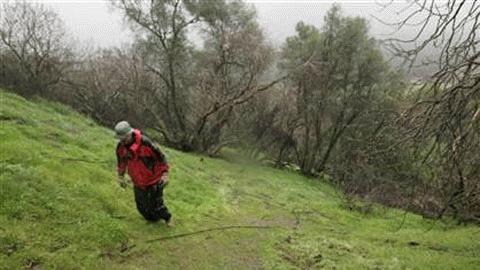 Một đại diện hạt Fresno đi ngang qua đường ống tưới tiêu dọc ngọn đồi từng lừ địa điểm trồng thuốc phiện tại rừng quốc gia Sequoia (Ảnh: AP)