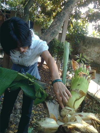 Mô tả ảnh.