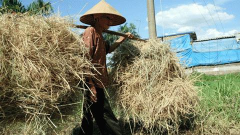 Mô tả ảnh.