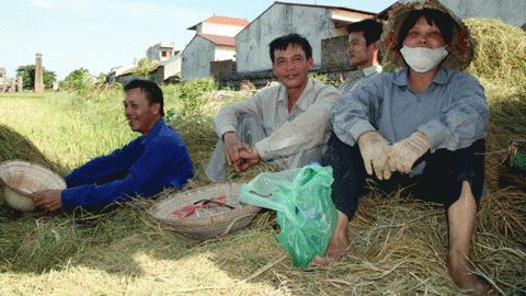 Mô tả ảnh.