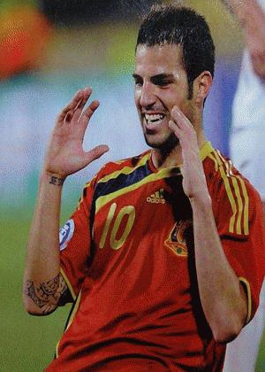 Tiền vệ Cesc Fabregas (Tây Ban Nha)