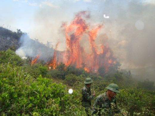 Nắng nóng kết hợp với gió Tây Nam khiến cho đám cháy bùng lên dữ dội  (Nguồn: congannghean)