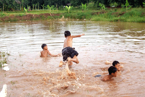 Mô tả ảnh.