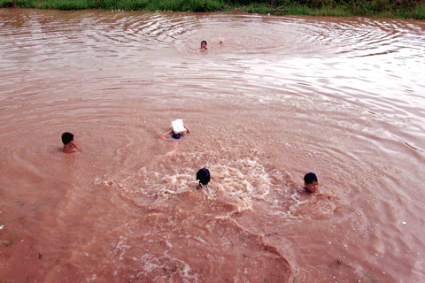 Mô tả ảnh.