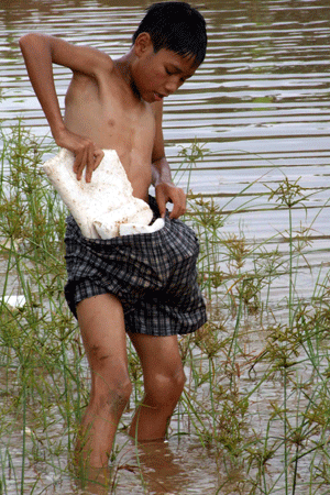 Mô tả ảnh.