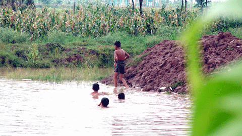 Mô tả ảnh.