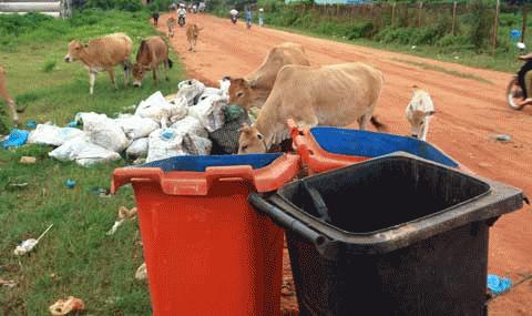 Mô tả ảnh.