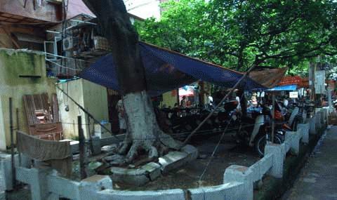 Mô tả ảnh.