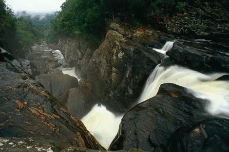 Mô tả ảnh.