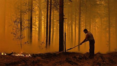 Cháy rừng ở miền trung Nga có nguy cơ lan rộng thêm do nắng nóng kỷ lục. (Ảnh: Washington Post)