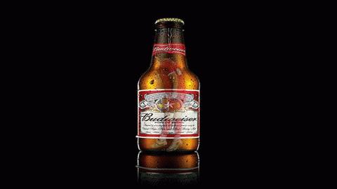 Terry xuất hiện trong chai bia Budweiser