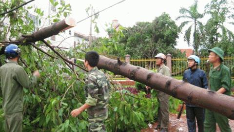 Mô tả ảnh.