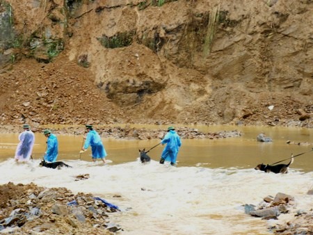 Hàng trăm tấn đất đá vùi lấp 7 nạn nhân dưới độ sâu gần chục mét. Chó nghiệp vụ được tung ra truy tìm dấu tích các nạn nhân ở mọi ngõ ngách.