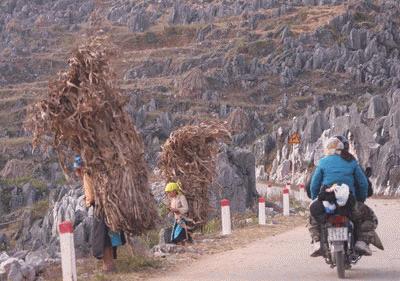 Khám phá những 