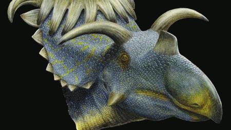 Phát hiện hóa thạch 2 loài khủng long có sừng mới