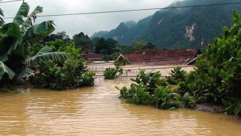 Xã Minh Hóa vẫn bị ngập trong biển nước (Ảnh: Vietnamnet)