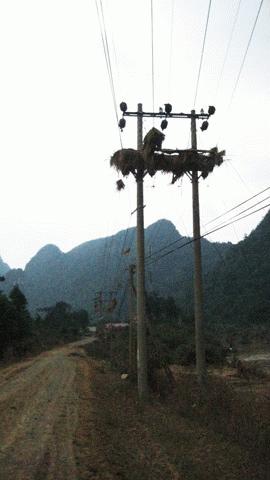 Nước lũ dâng cao ngập cả cây cột điện như thế nay. Người dân nơi đây lại bắt đầu từ 2 bàn tay trắng ...