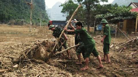 Nhanh chóng vệ sinh môi trường, khẩn cấp dọn xác động vật thối rữa để tránh lây lan bệnh tật