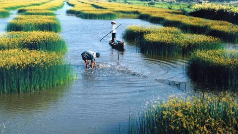 Mô tả ảnh.