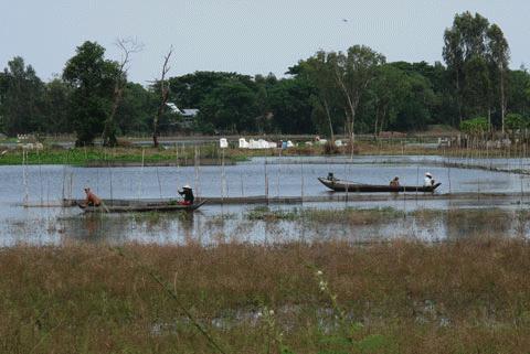 Vùng lũ An Phú (khu vực giáp Camphuchia ) vốn sôi động với cảnh ghe xuồng đánh bắt cá đông đúc vào mùa lũ nay cũng đìu hiu.