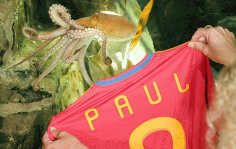 Paul và chiếc áo số 8 của Tây Ban Nha. Ảnh: Reuters