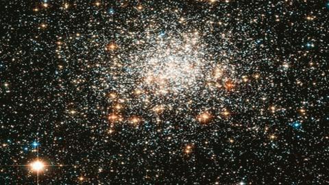 Giống như đèn sàn nhảy, chòm sao hình cầu NGC 1806 nằm trong đám mây Magellan lớn - một thiên hà vệ tinh thuộc Ngân hà của chúng ta, tỏa sáng lung linh. (Ảnh: NASA)
